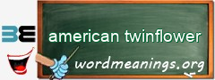 WordMeaning blackboard for american twinflower